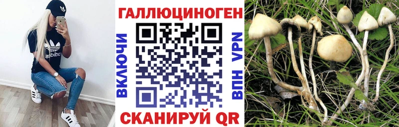 где купить   Тольятти  Галлюциногенные грибы прущие грибы 